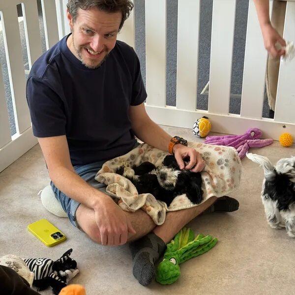 Man sitting with puppies and toys