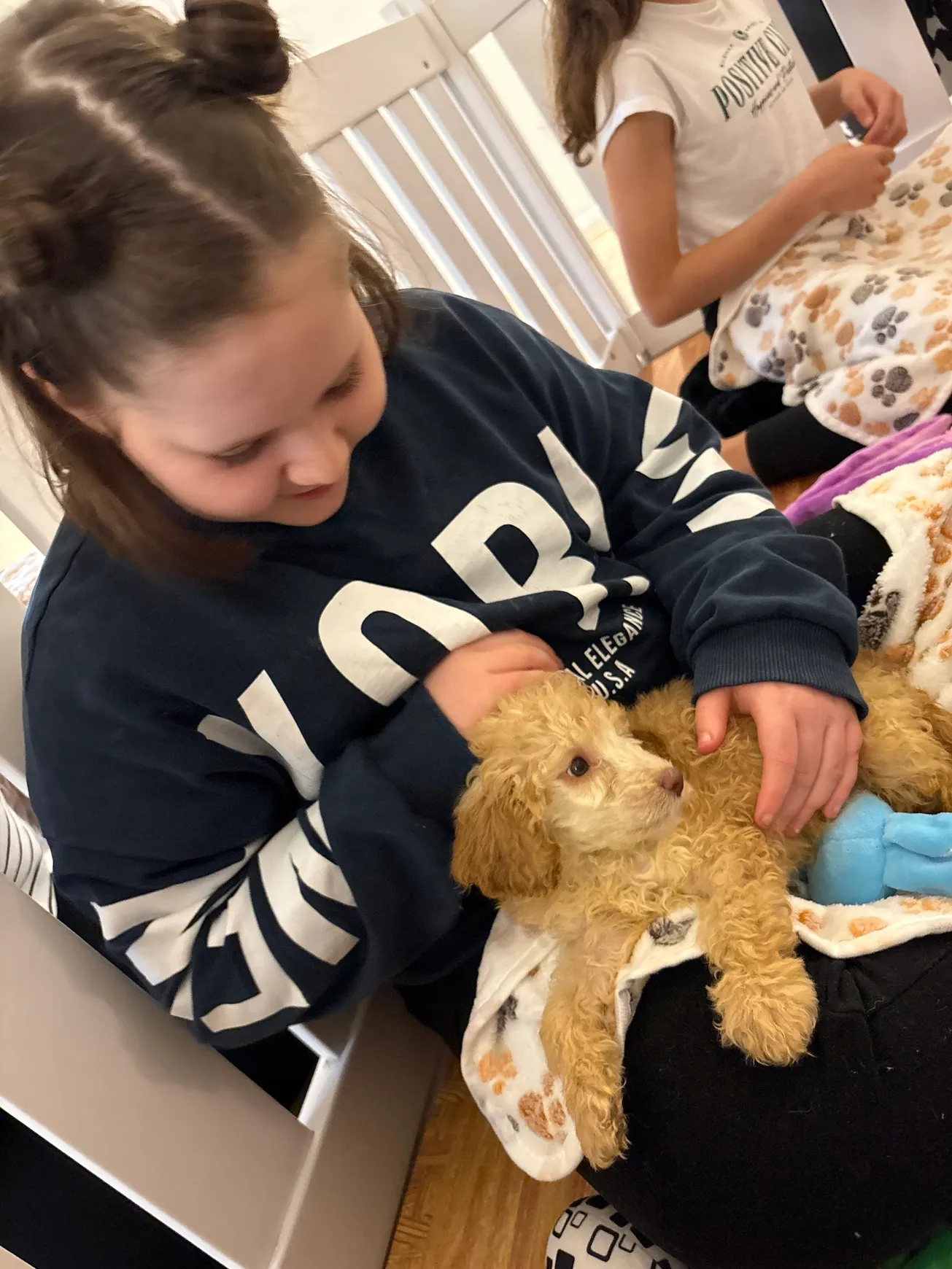 Young girl holding a cute puppy