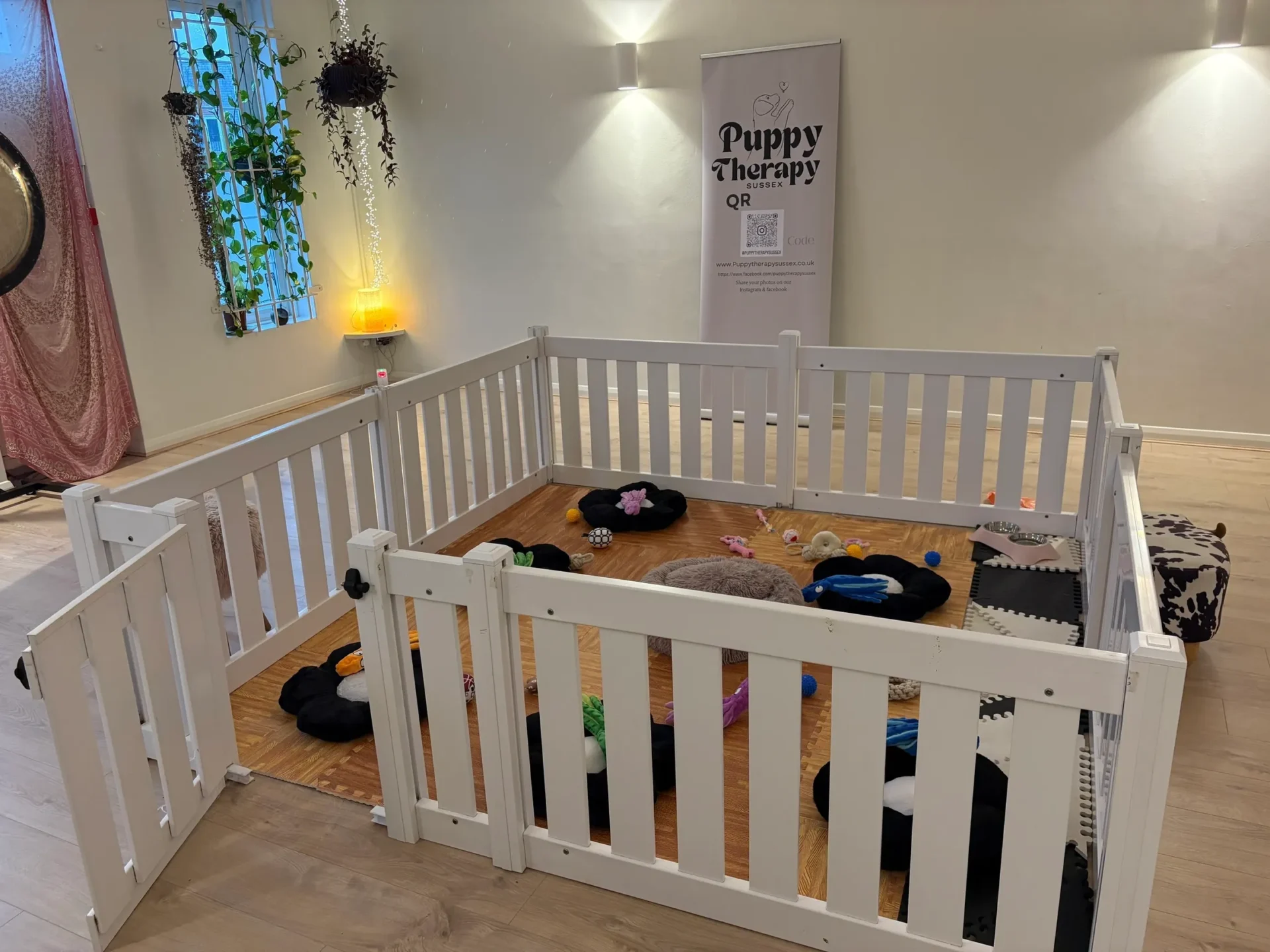 Puppy therapy playpen setup