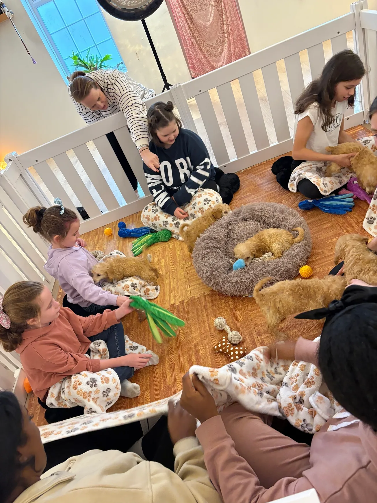 Group of kids cuddling fluffy puppies.