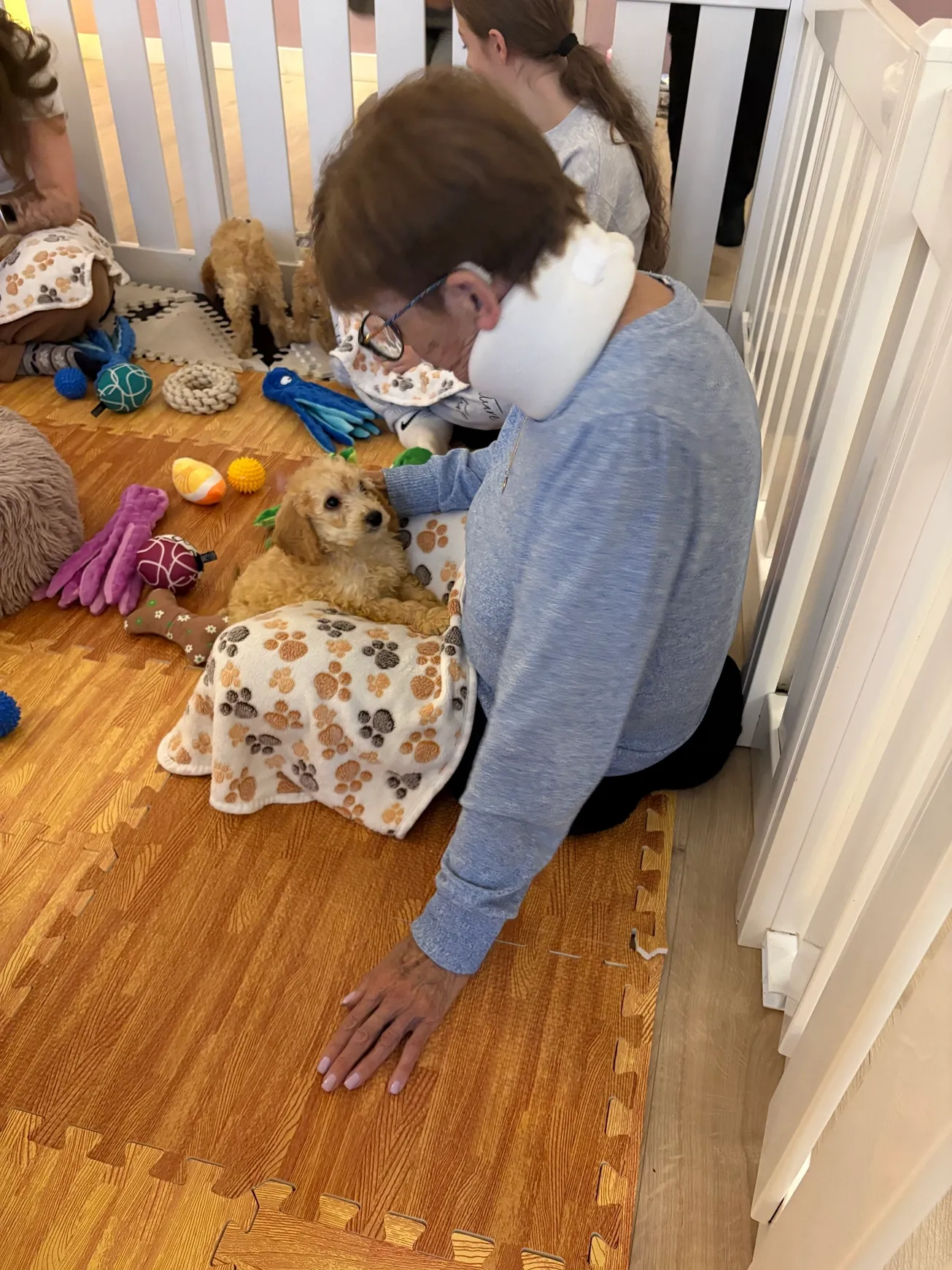 Puppy wrapped in a paw-print blanket.