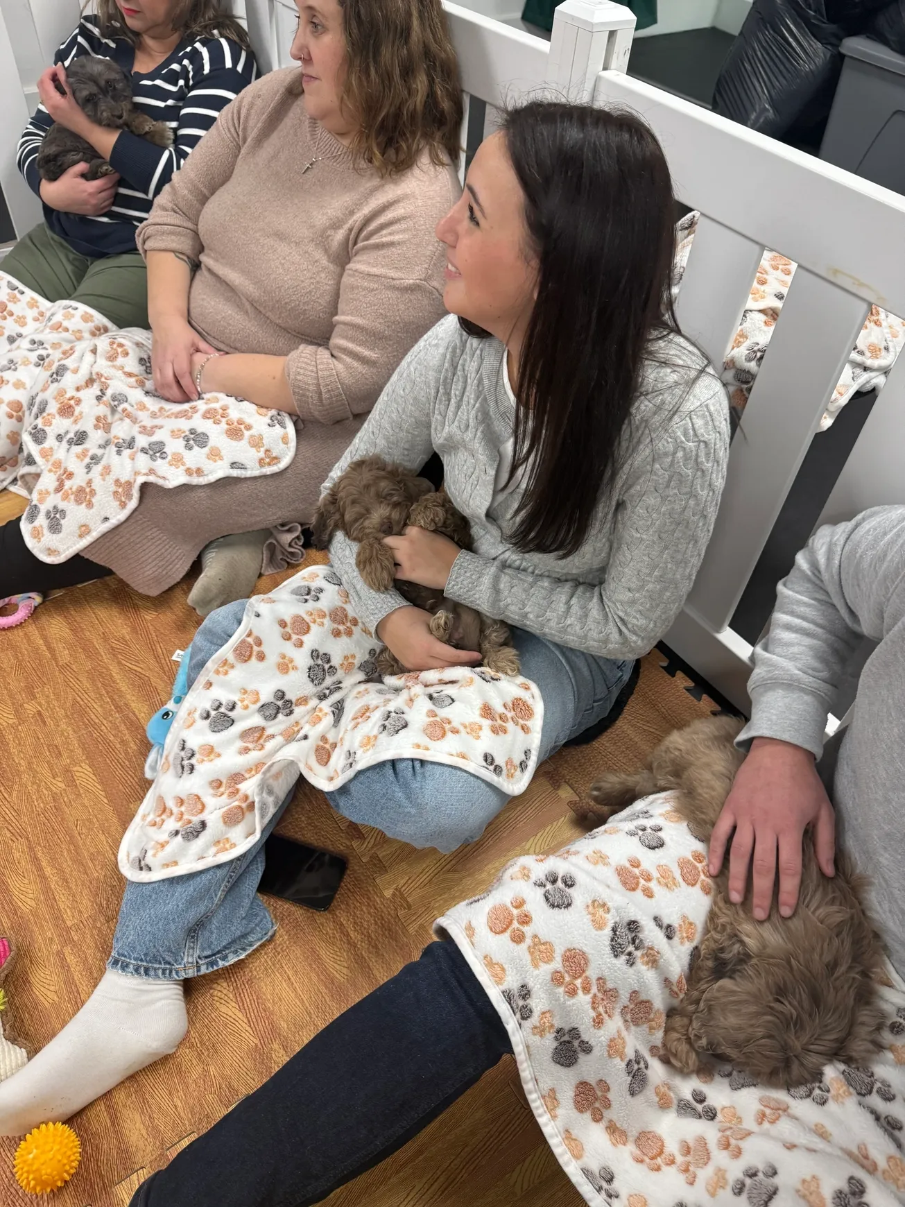 People sitting with puppies on their laps.