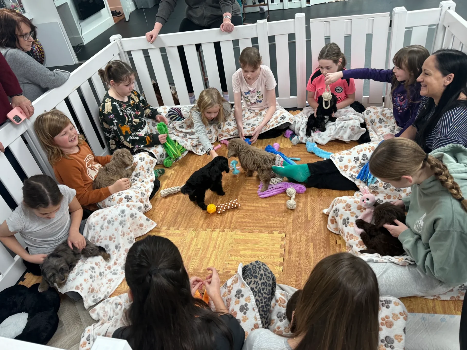 Children playing with puppies in a pen.