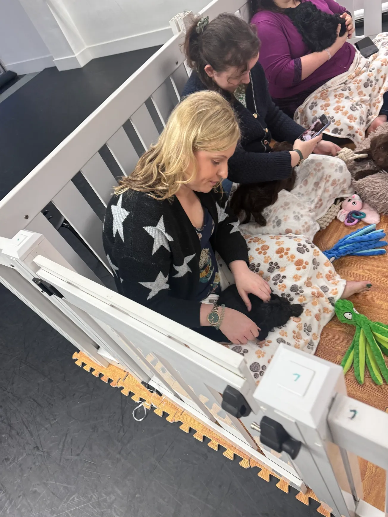 Women sitting with puppies in a playpen