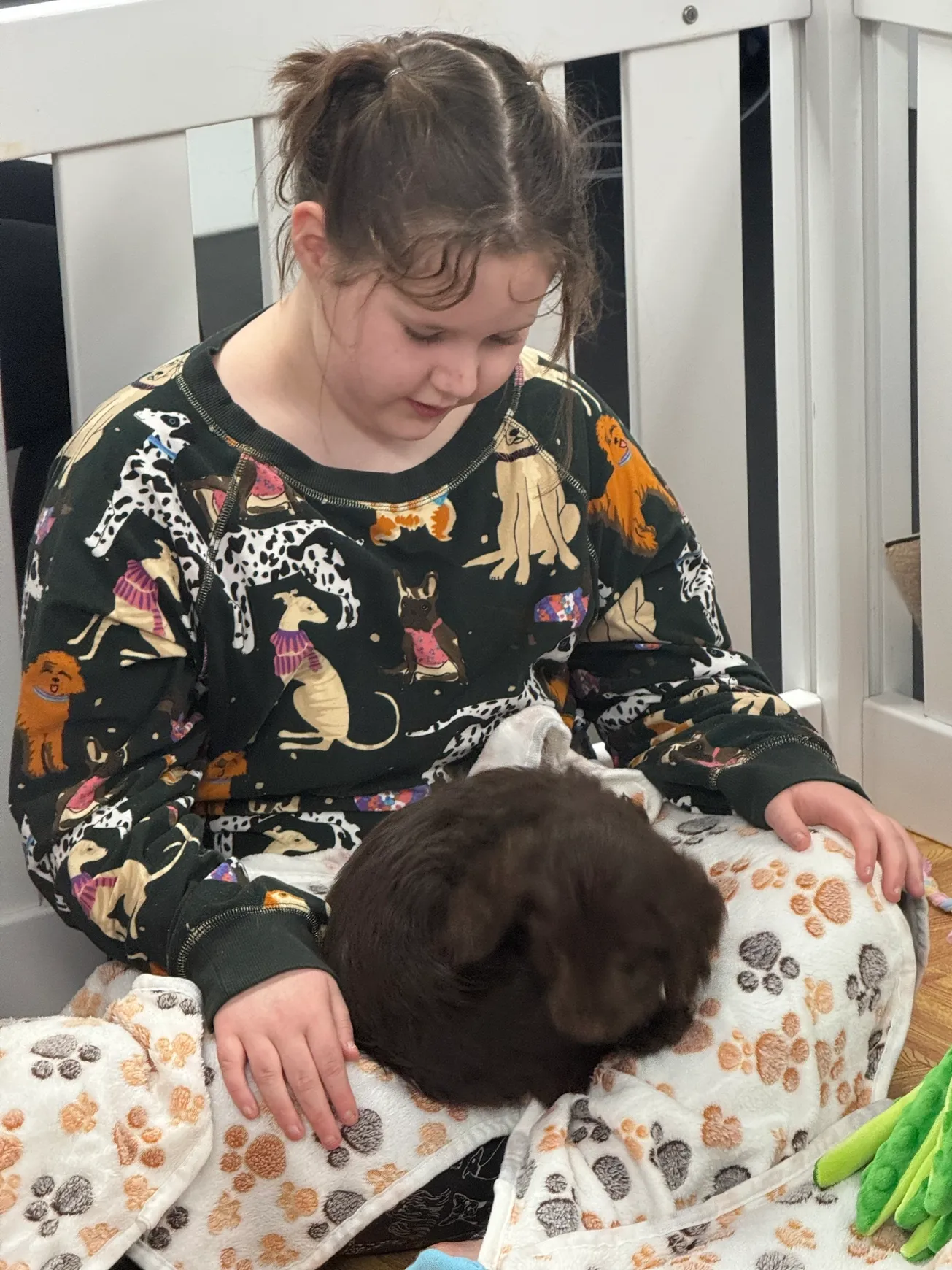 Child sitting with a puppy