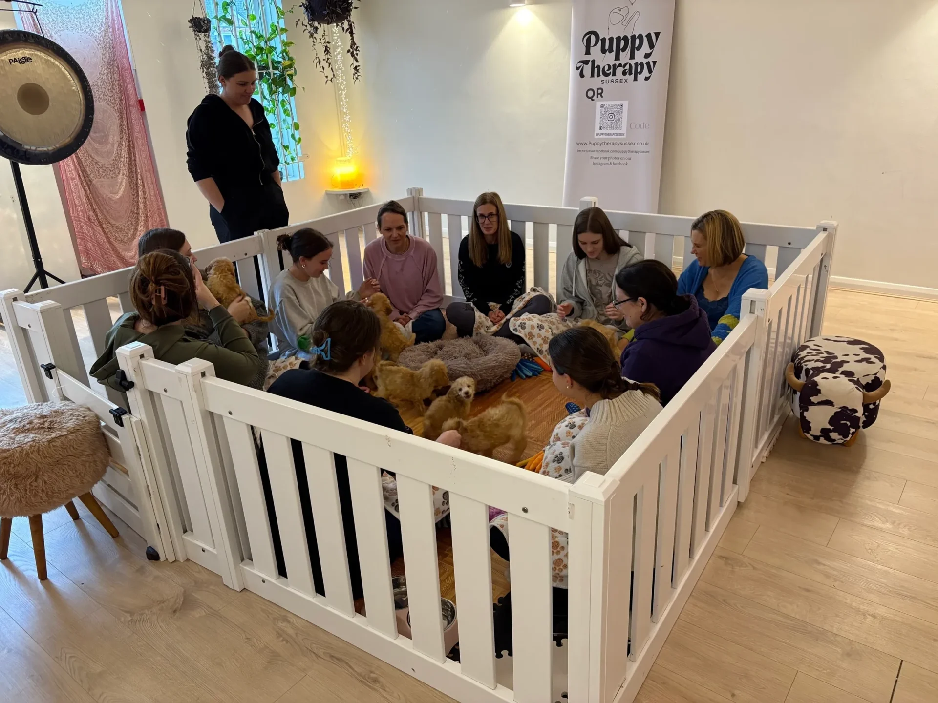 Group relaxing with puppies in enclosure