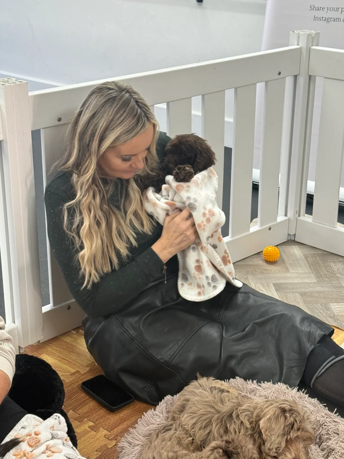 Woman cuddling a puppy in blanket