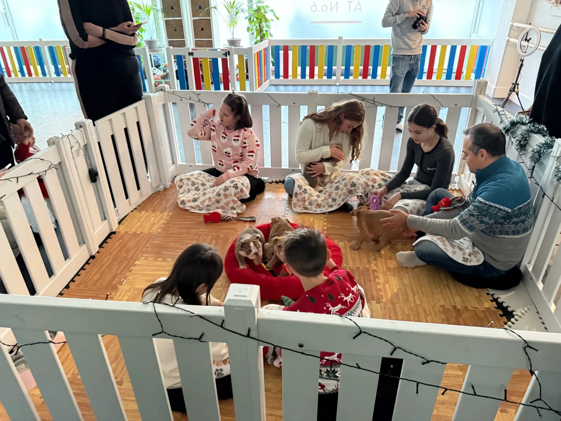 Children playing with puppies in pen