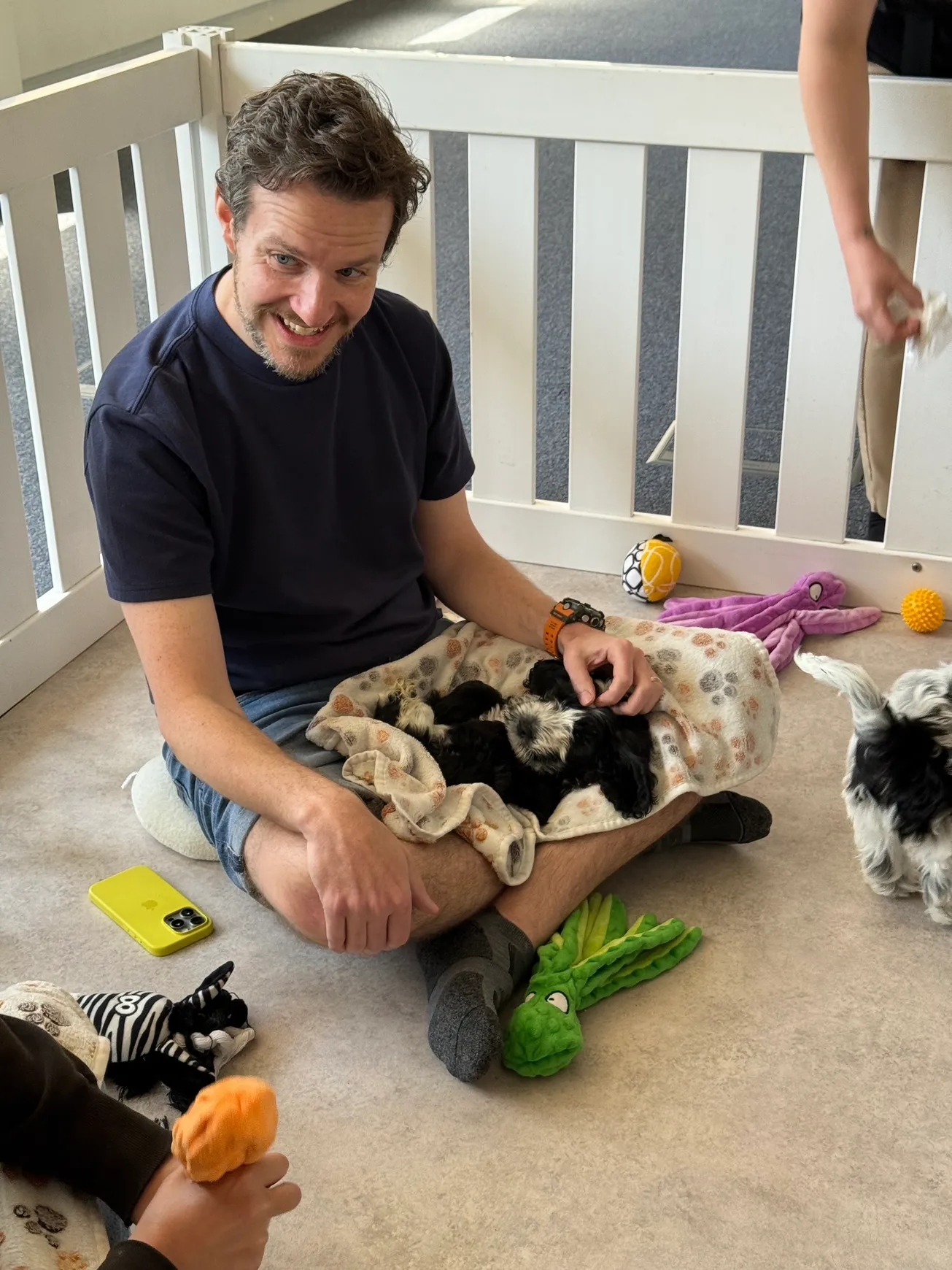 Puppies cuddling with a man indoors