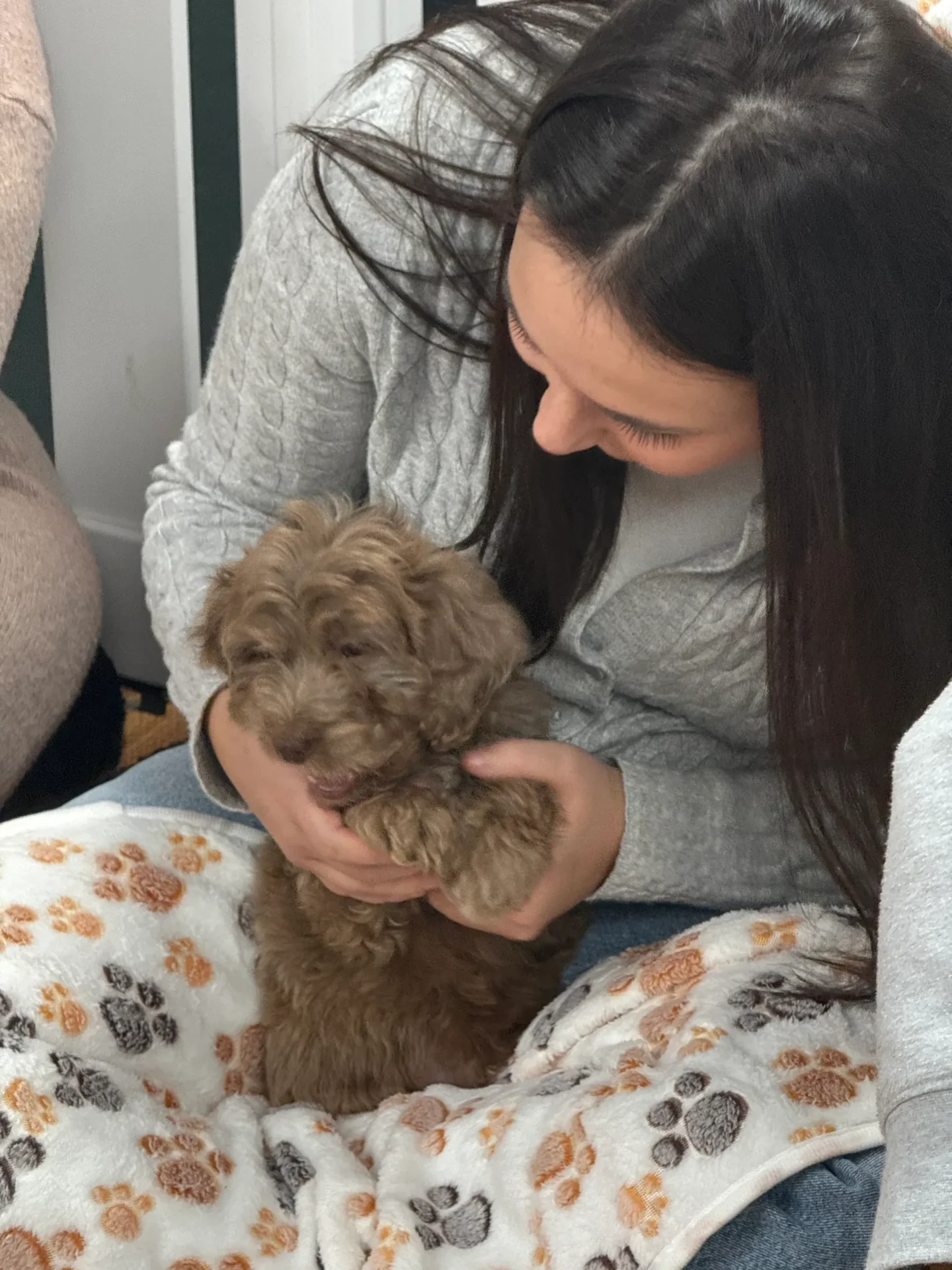 Puppy sitting on paw print blanket