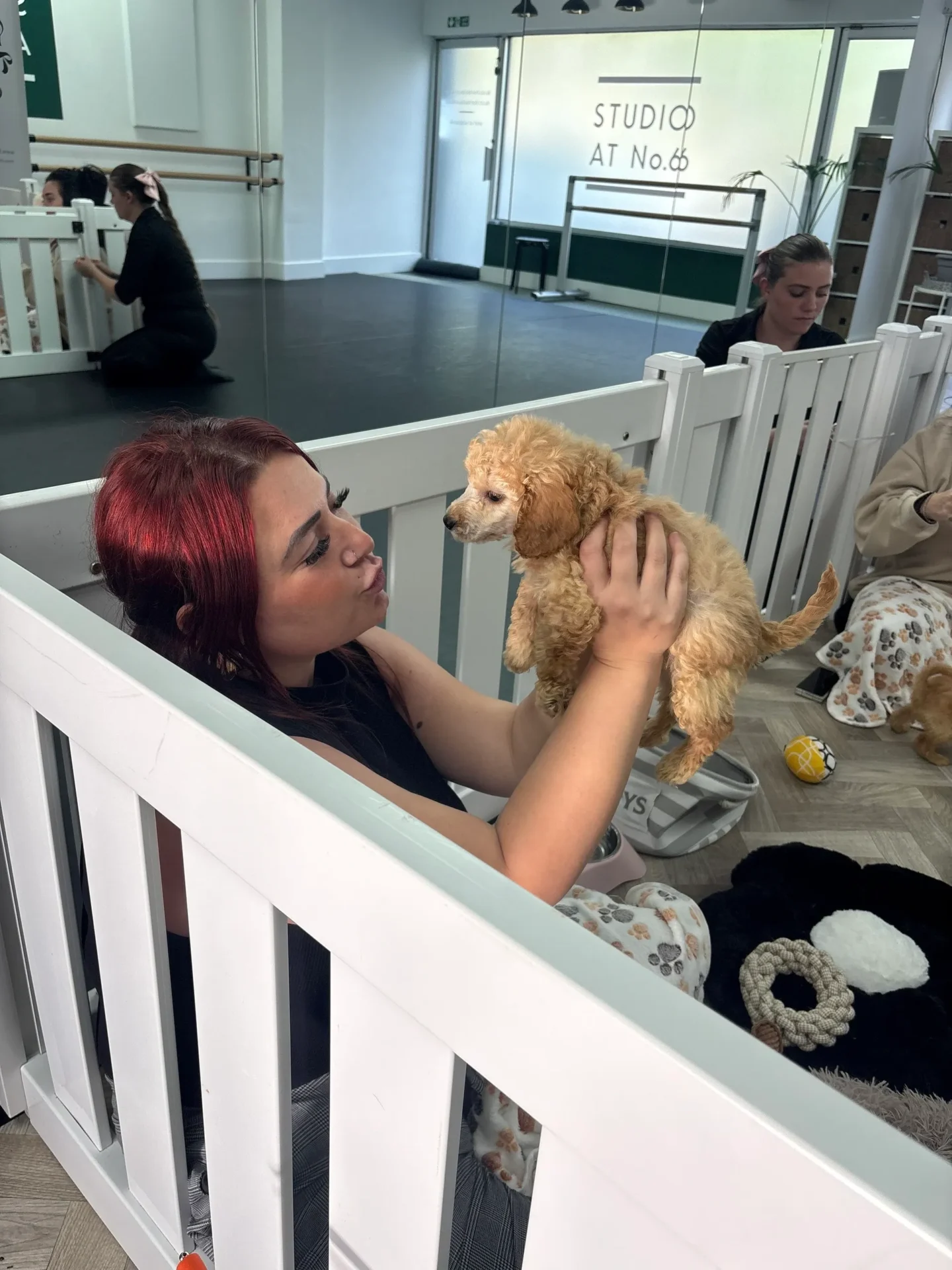 Girl playing with a small dog