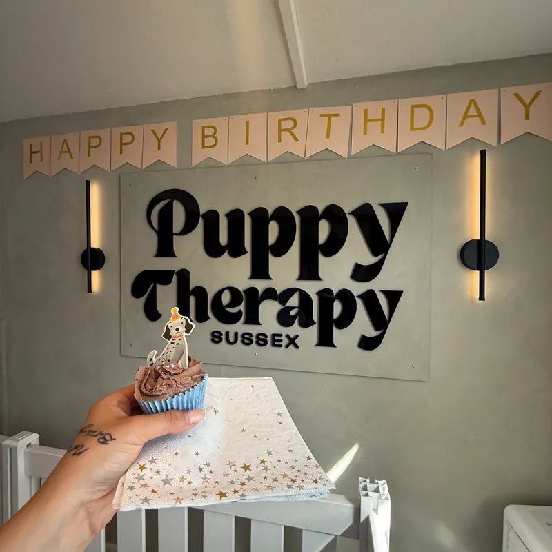Cupcake at Puppy Therapy Sussex celebration