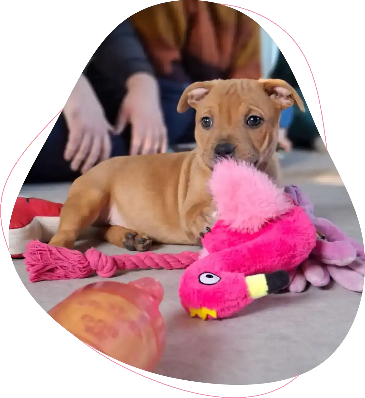 highlight-13_highlight-13_image-1-1 (2)