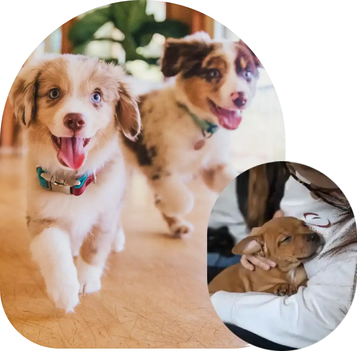 highlight-14-v1_highlight-14-v1_image (1) (1)